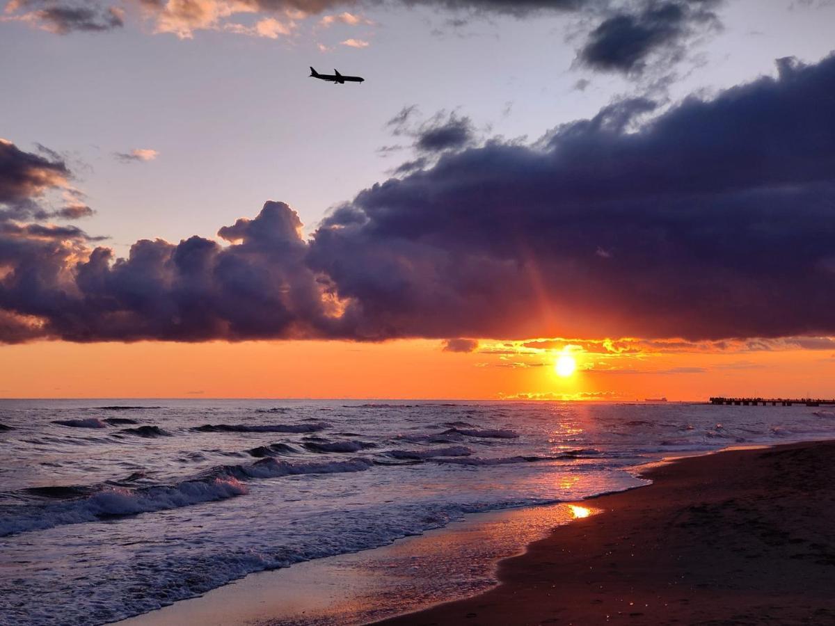 Piuma Celeste A Due Passi Dal Mare E Dal Centro Storico Lido di Ostia Exteriör bild