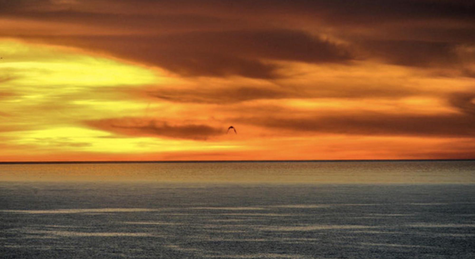 Piuma Celeste A Due Passi Dal Mare E Dal Centro Storico Lido di Ostia Exteriör bild